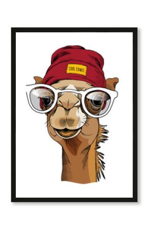 Camel portrait with a glasses and in a hipster hat. Vector illustration.