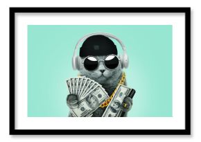 Cool rich successful hipster cat with sunglasses with gold chain holds many dollar bills on a light green background. Success, management and business, concept. Creative idea winner