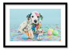 Easter Dalmatain Puppy
