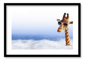 Funny giraffe with sunglasses coming out of the clouds