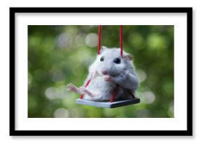 Hamster on a swing