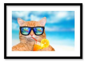 Cat wearing sunglasses relaxing in the sea background