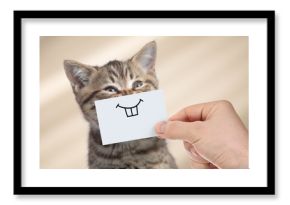 śmieszny kot z uśmiechem na tekturze