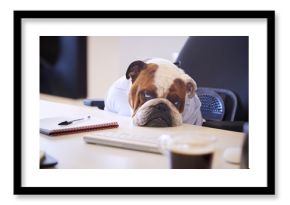 British Bulldog Dressed As Businessman Looking Sad At Desk