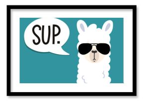 Plakat Lamy z napisem „sup” oznacza „co słychać”. Prosta głowa alpaki z okulary na niebieskim tle. Wektorowa ilustracja z lamą dla plakata, skrzynki, tkaniny, zaproszenia, etc.