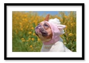 Funny red pied colored French Bulldog dog dressed up with funny pink unicorn wool hat in front of spring flower background