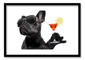 drunk dog drinking a cocktail