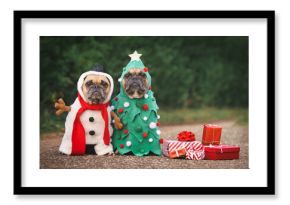 Dogs in Christmas costumes. Two French Bulldogs dresses up as funny Christmas tree and snowman with red gift boxes