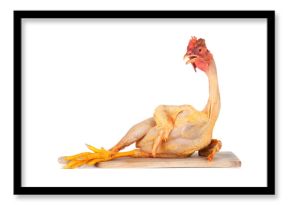 raw chicken on cutting board isolated