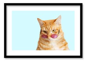 Closeup portrait of funny ginger cat wearing sunglasses isolated on light cyan. Copyspace.