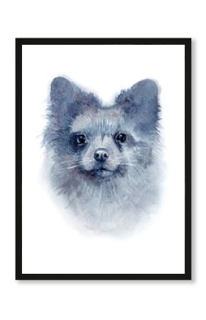Watercolor portrait of a dog. German spitz breed. Illustration isolated on white background.