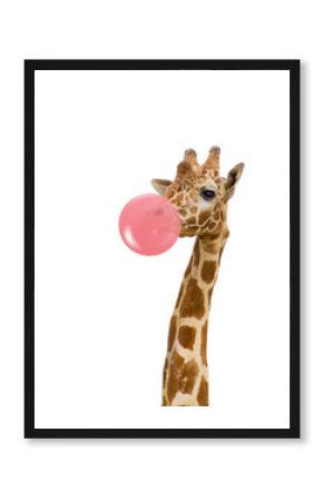 giraffe with bubble gum