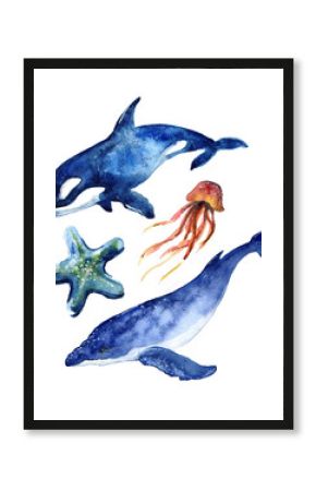 Watercolor cute whale. Shark illustartion