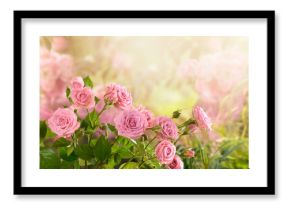 Mysterious fairy tale spring floral wide panoramic banner with fabulous blooming pink rose flowers summer fantasy garden on blurred sunny bright shiny glowing background and copy space