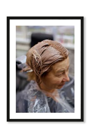 a hairdresser dyes and tones the hair of an adult woman