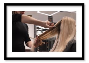 Professional hairdresser cutting woman's hair in salon, closeup