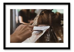 Hair Coloring In A Beauty Salon. Professional wizard paints the hair in the salon. Beauty concept, hair care. Hairdressing Services.