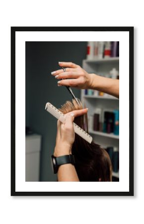 A hairdresser cuts a client's hair.In hands of the hairdresser scissors and hair