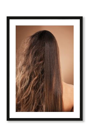 Frizz, heat damage and hair of a woman isolated on a brown background in a studio. Back, salon treatment and lady showing results from keratin treatment, before and after a hairdresser procedure