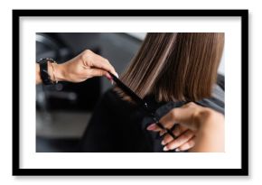 close up of hairdresser cutting short brunette hair of female client, beauty worker, haircut, salon job, beauty industry, scissors and professional comb, salon hair tools, cropped view