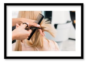 cropped image of hairdresser trimming ends of blonde hair