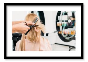 cropped image of hairdresser trimming ends of hair in salon