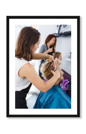 Senior lady getting haircutting