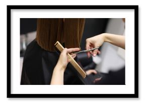 Unrecognisable hairdresser cutting female client hair with professional barber scissors and comb and making stylish haircut short bob hairstyle in beauty salon. Hair care, hair salon and hairstyling