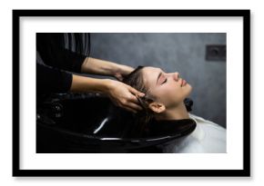 Beautiful young woman getting a hair wash. In a hair salon