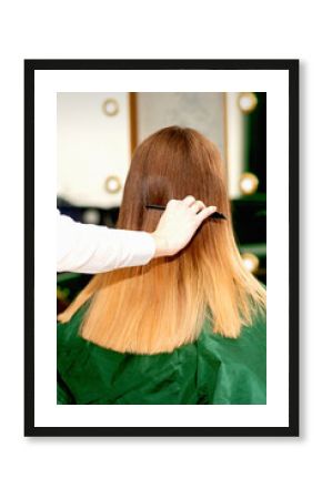 Back view of female hairdresser combing long hair of young blonde client in a beauty salon