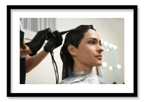 Professional hairdresser dyeing client's hair in beauty salon