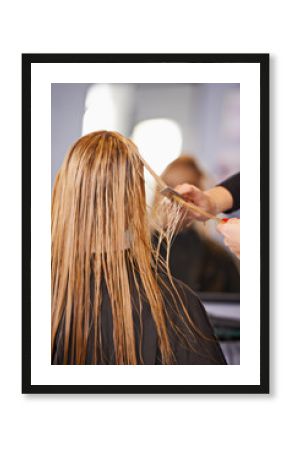 Style, cut and woman with hairdresser, comb and professional haircare, cleaning or luxury treatment. Grooming, hair care and client at beauty salon with mirror, reflection and small business service