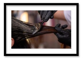 Hair coloring in the salon, hair styling. Professional wizard paints the hair in the salon. Beauty concept, hair care.