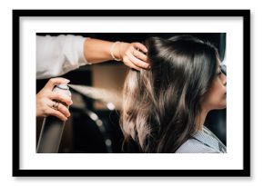Hairstylist Spraying Woman’s Hair