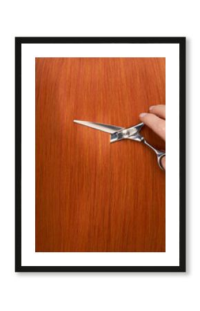 Hairdresser cuts long red hair with scissors. Hair salon, hairstylist. Care and beauty hair products. Dyed hair