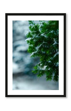 Vertical shot of a tree branch covered in white snow during winter