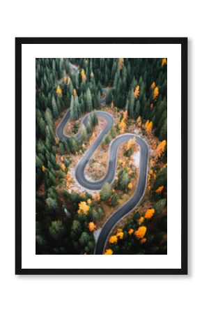 Top aerial view of famous Snake road near Passo Giau in Dolomite Alps. Winding mountains road in lush forest with orange larch trees and green spruce in autumn time. Dolomites, Italy