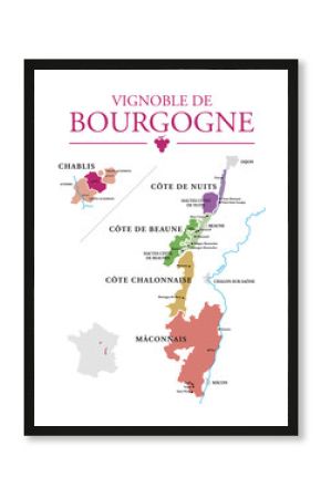 Vignoble de Bourgogne