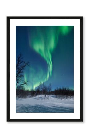 Aurora Borealis in Sweden