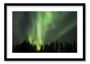 Aurora Borealis (Northern lights) in Alberta, Canada