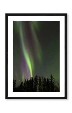 Aurora Borealis (Northern lights) in Alberta, Canada