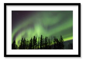 Aurora Borealis (Northern lights) in Alberta, Canada