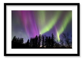 Aurora Borealis (Northern lights) in Alberta, Canada