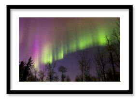 Aurora Borealis (Northern lights) in Alberta, Canada