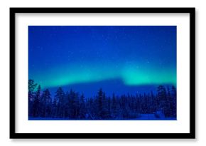 Northern Lights over the Winter Forest