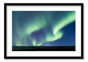 the northern light