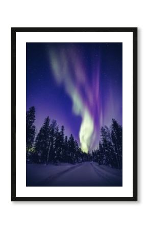 Beautiful Northern Lights (Aurora Borealis) in the night sky over winter Lapland landscape, Finland, Scandinavia