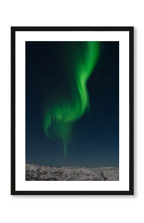 Aurora Borealis,Northern lights over the tundra in winter.