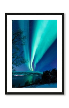 The polar arctic Northern lights aurora borealis sky star in Scandinavia Norway Tromso in the farm winter forest  snow mountains 