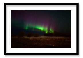 Colorful northern lights over a saskatchewan prairies winter landscape at night